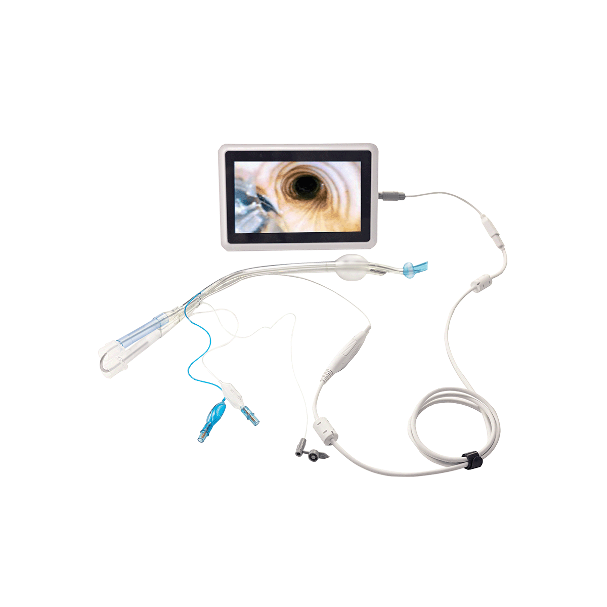 Disposable Double-Lumen Endobronchial Tube